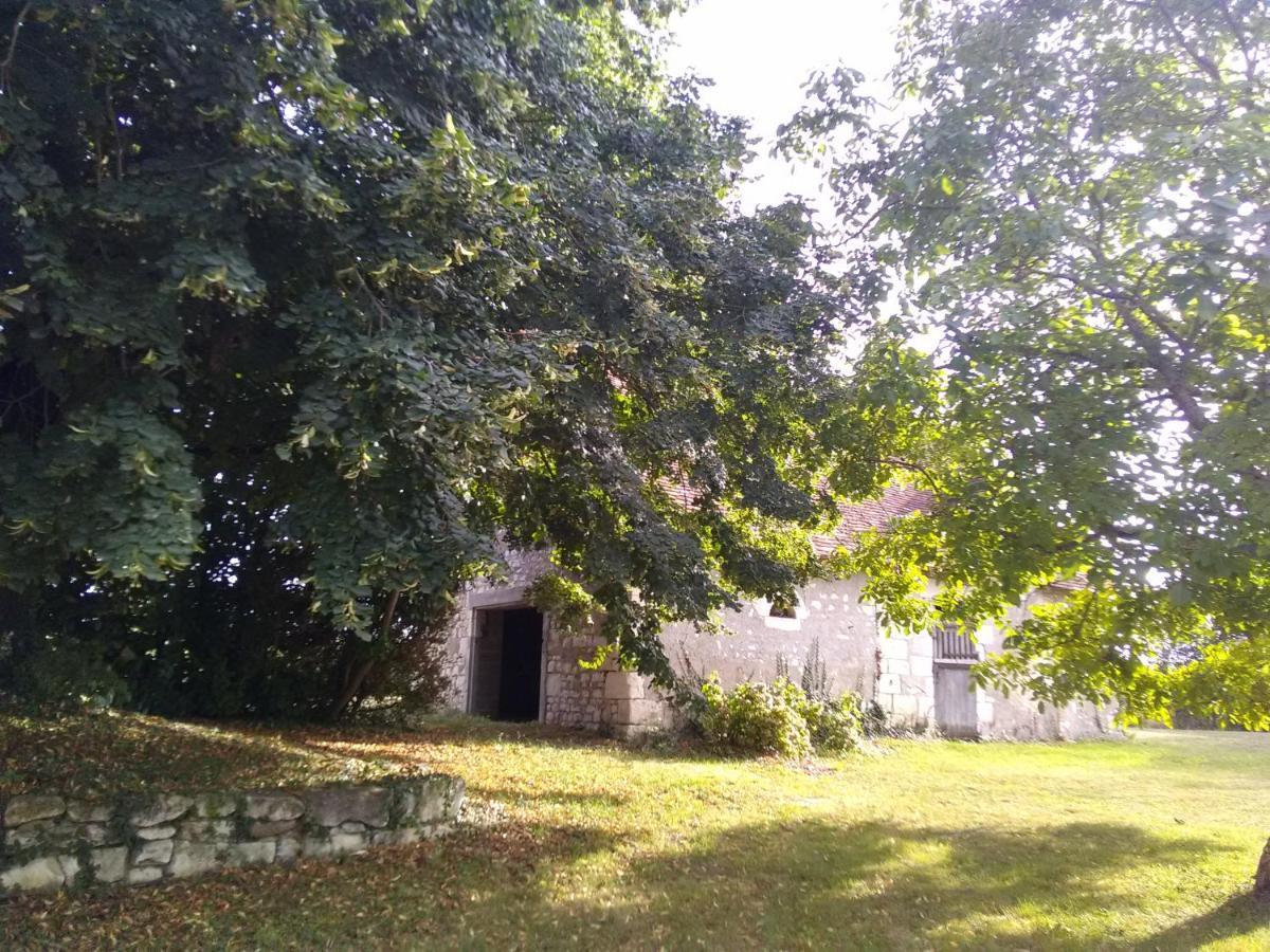 La Berrycurienne Proche Du Zoo De Beauval Saint-Aignan Avec Sdb, Wc Et Spa Privatif Pour Chaque Chambre Luçay-le-Mâle Exterior foto