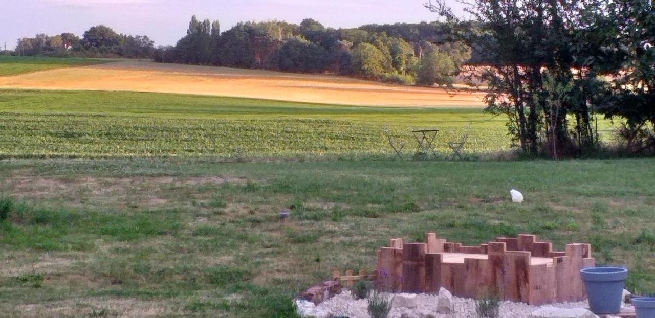 La Berrycurienne Proche Du Zoo De Beauval Saint-Aignan Avec Sdb, Wc Et Spa Privatif Pour Chaque Chambre Luçay-le-Mâle Exterior foto